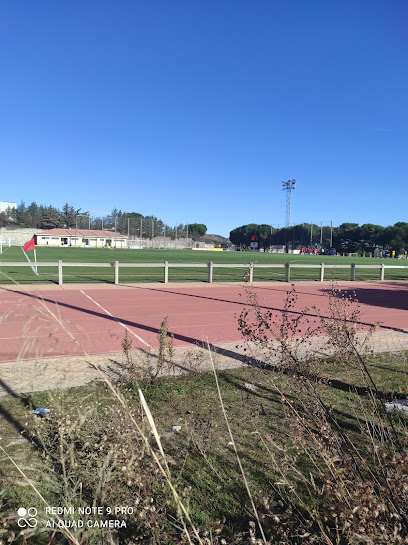 c-m-polideportivo-julian-ariza