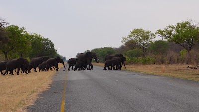 Photos of Senyati Safari Camp