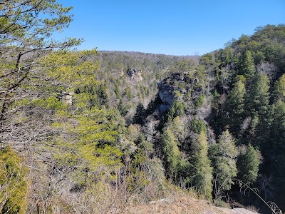 Fall Creek Falls