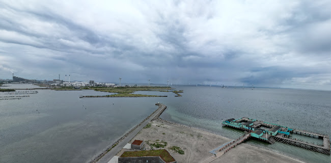 Amager Strandpark - Anlægsgartner