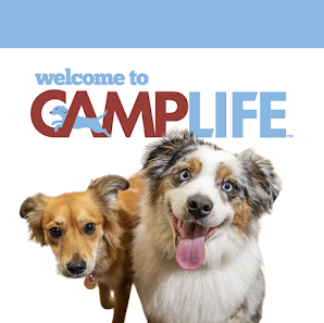 Camp Bow Wow Sherwood 21655 SW Pacific Hwy UNIT 110, Sherwood, OR 97140, Estados Unidos