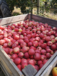Photo n°14 de Le Marché du Maine Allain à Chaniers (Magasin de produits de la ferme)