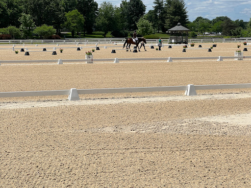 Rolex Stadium - Visual