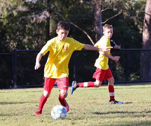 Lane Cove West Football Club - Thumbnail
