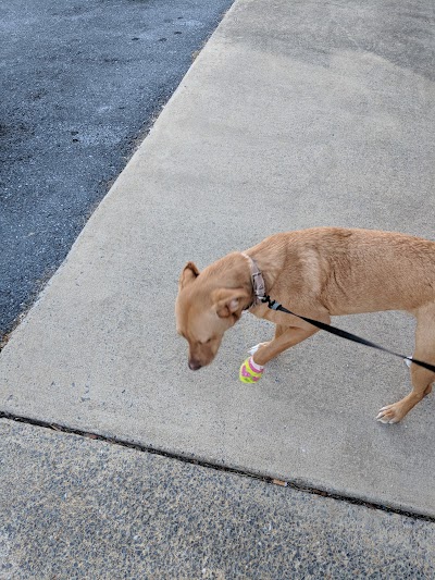 Heartland Veterinary Clinic