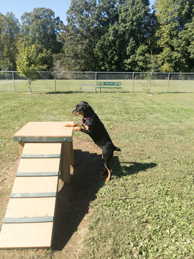 Albemarle Parks & Recreation Dog Park - Thumbnail