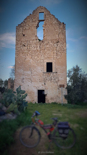 Torre Spoto - Visual