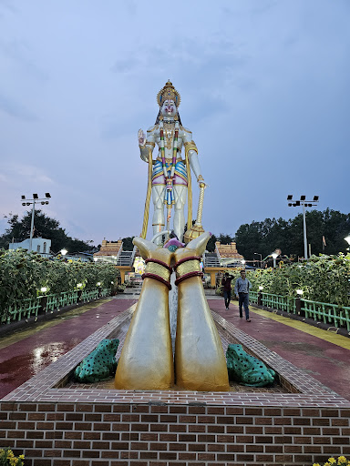 Damanjodi Hanuman Statue post image