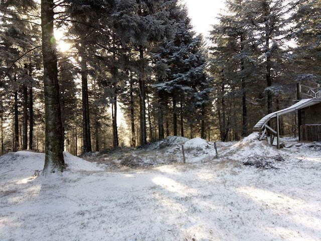 Singletracks Bike Park