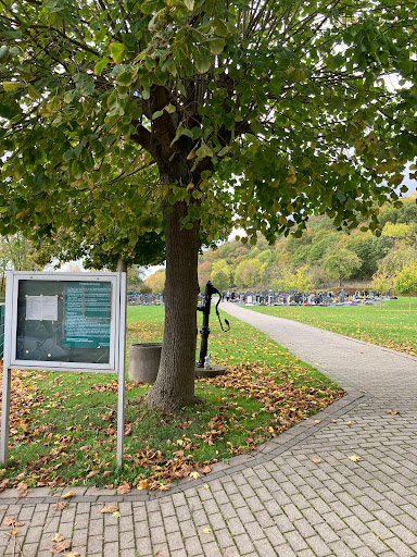 Friedhof Brehme - Visual
