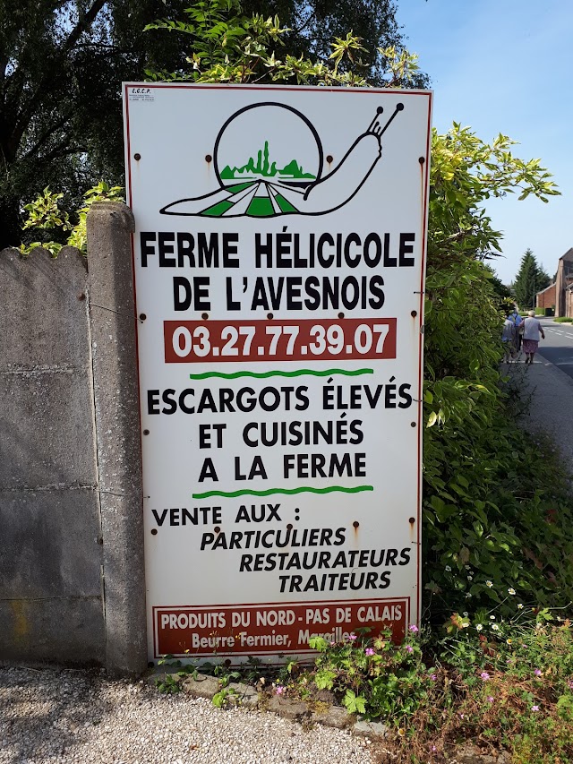 Ferme hélicicole de l'Avesnois - L'Escargot de ch'Nord