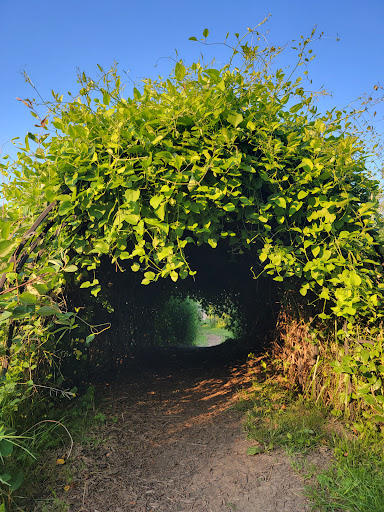 Nature Play - Visual
