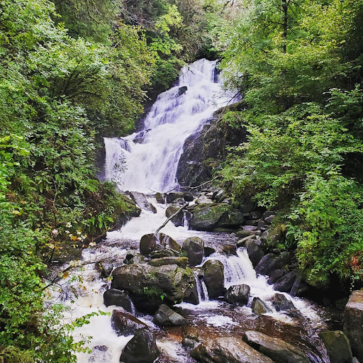 Carpe Diem Adventures LLC Gallery - United States