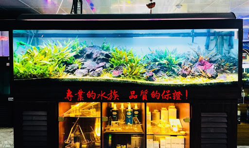 [海中天水族量販 水族店的外部或內部照片]