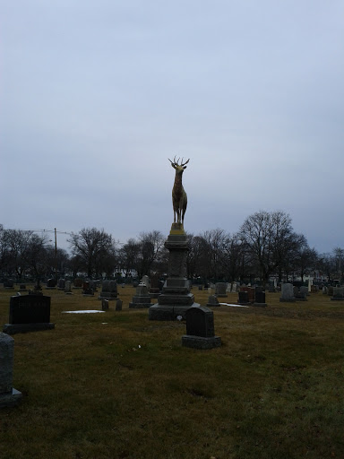 Edson Cemetery - Thumbnail