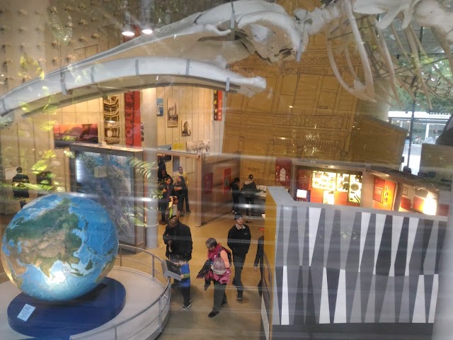 Academy Store