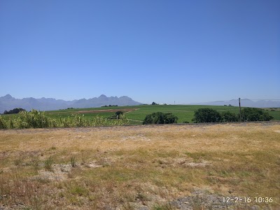 Photos of Mangwanani Winelands