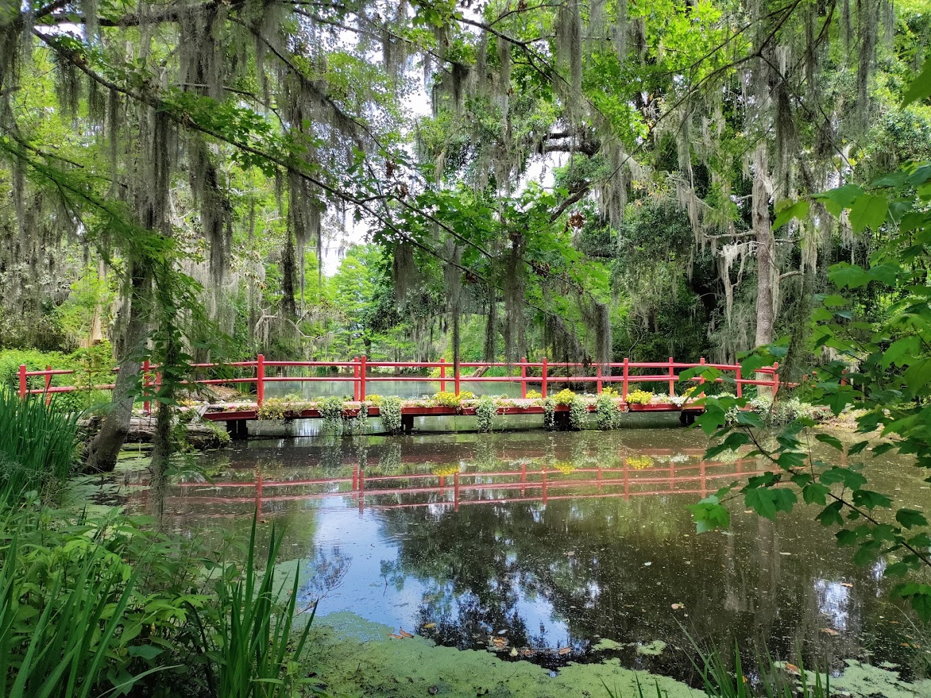 Photo of Red Bridge