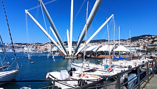 Le Bighe del Bigo - Genova Segway Gallery - Italy