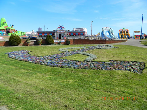 site_photo2
