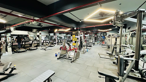 Gallery image 7