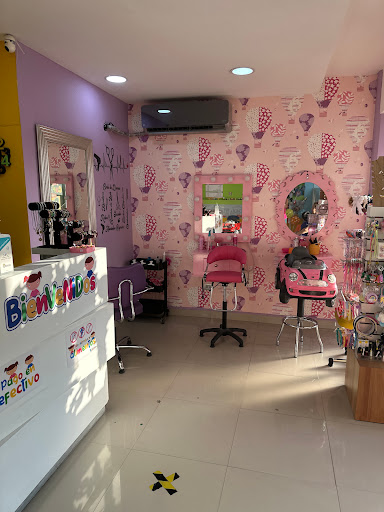 Pelupequez - Visual