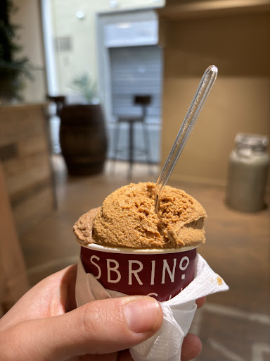 Sbrino - Visual