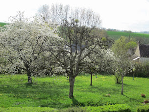 Photo n°7 de La Carrillière à La Gaudaine (Chambre d'hôtes)