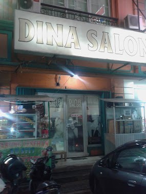 DINA SALON, Author: Elizabeth Minerva S