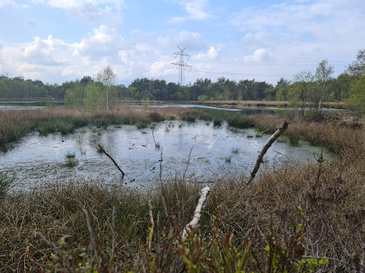 Bockhorner Moor - Thumbnail