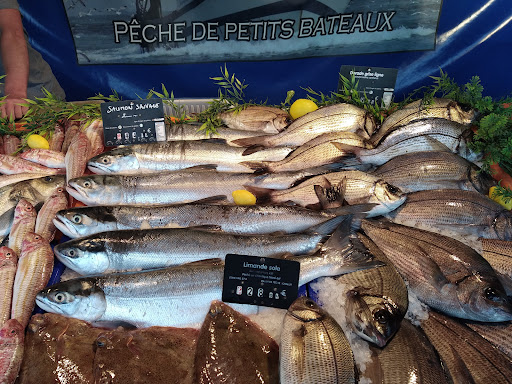 Quiberon marée Gallery - France
