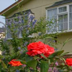 Frost Farm Holiday Park - Thumbnail