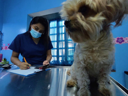 Vet-Life Clínica Veterinaria