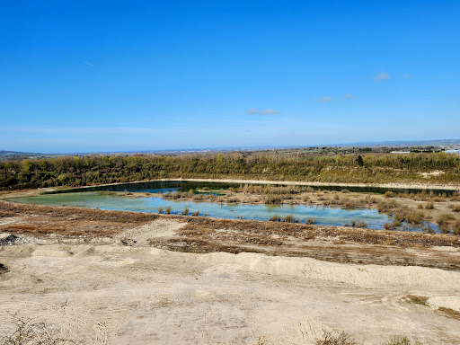 CHILTERNS NATURE - PITSTONE HILL NATURE RESERVE Gallery - United Kingdom