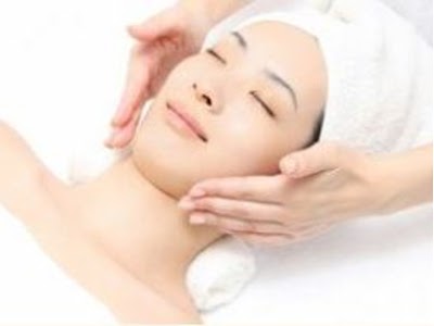 Canet キャネット