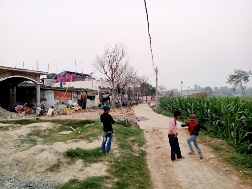 Gallery image 6