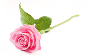 Photo n°15 de Reg Moore - Photography & Video Production à Beaumontois en Périgord (Société de production vidéo)