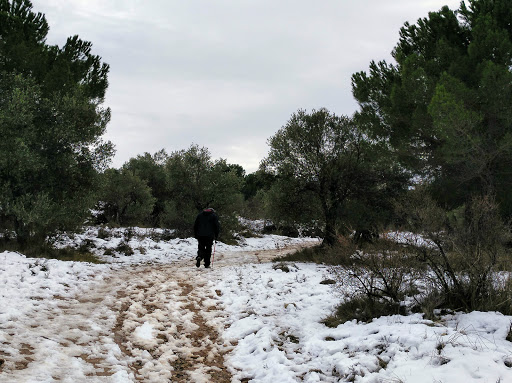 Sendero del Monte Vico - Thumbnail