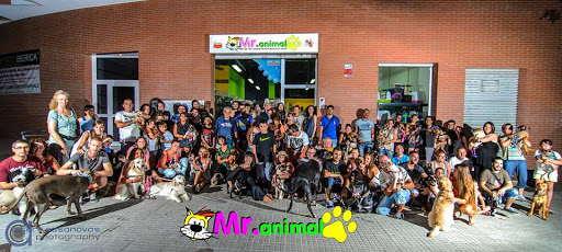 Mr Animal - Thumbnail