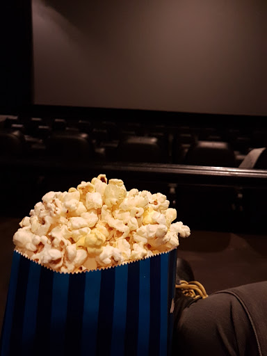 Leduc Cinemas - Visual