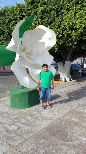 Rincon De Las Gardenias - Thumbnail