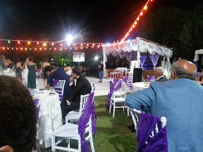 Photos of PALMIYE KIR D&Uuml;Ğ&Uuml;N BAH&Ccedil;ESİ