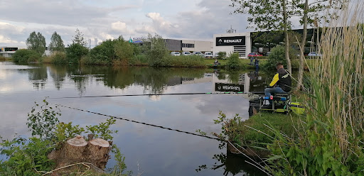 Visvijver Nijverdalseweg - Thumbnail