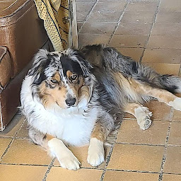 Photo n°11 de LES BASTIDES TOURMALINE à La Tour-d'Aigues (Lodge)