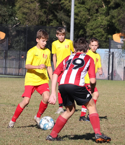 Lane Cove West Football Club - Thumbnail