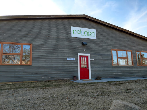 Palumba - Visual