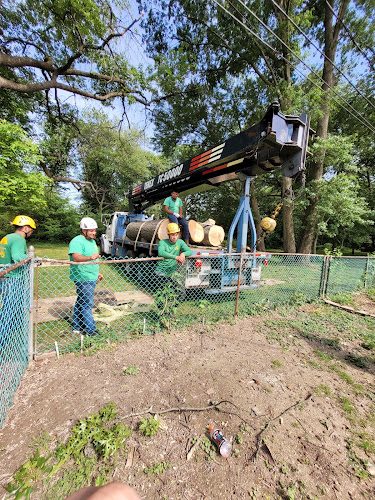 Pro Contractors Tree Removal and Handyman