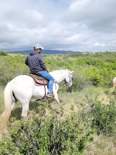 Beaver Creek Outfitters & Riding Stables