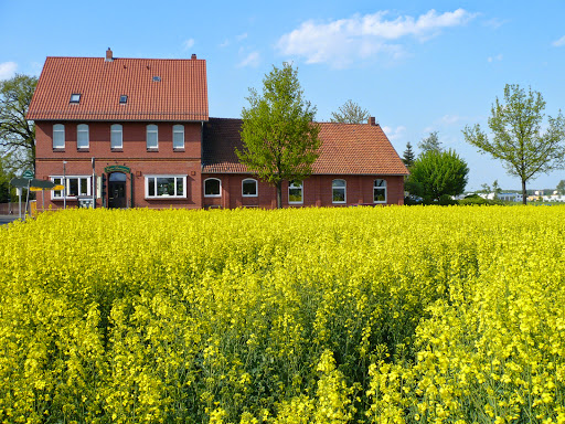 Mutter Buermann - Visual