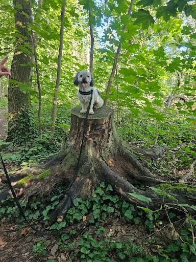 Aussichtspunkt Krebsloch - Thumbnail